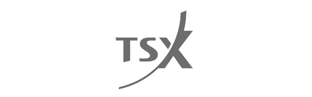 TSX_Logo-BW